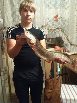 сегодня.jpg