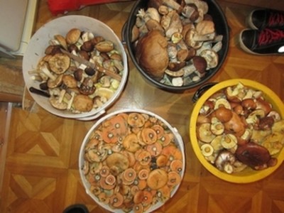 IMG_1380.JPG