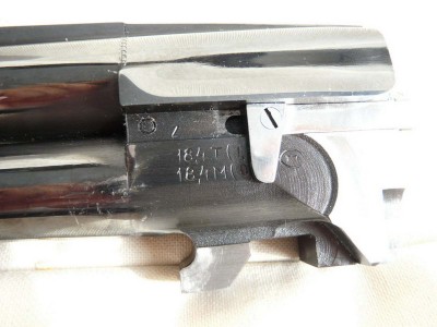 4831281.jpg