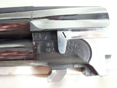 4831282.jpg
