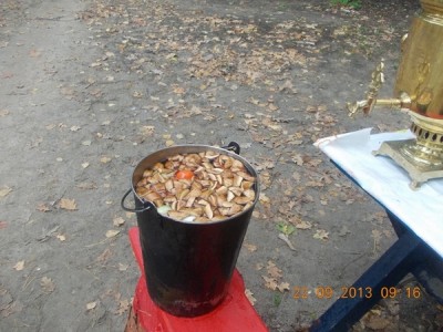 Знатная ушица с грибами