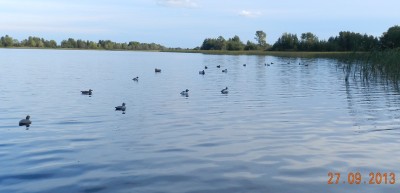 DSCN6904.JPG