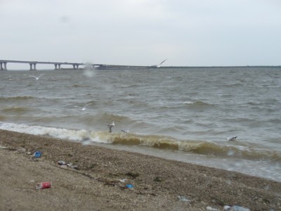 P1050145.2.JPG