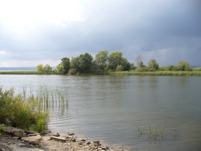 P1050090.2.JPG