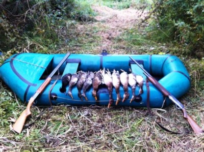 image14.jpeg