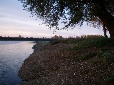 PA070831.jpg