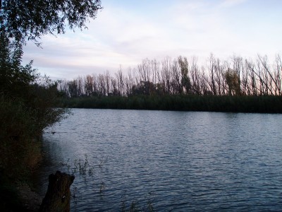 PA070830.jpg