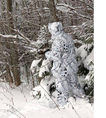 Полярная сова.jpg