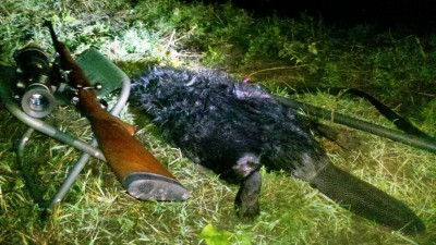 2013-10-12_19-41-44_734.jpg