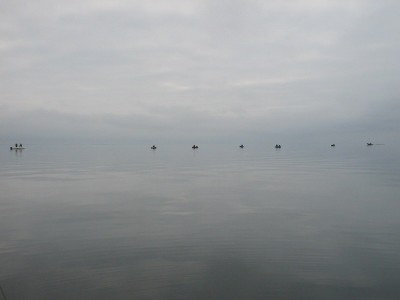 006_resize.jpg