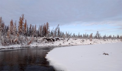 4515.jpg