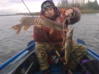 Банакс стратос 2.70,Павер-Про 0.19,Адмирал 3000