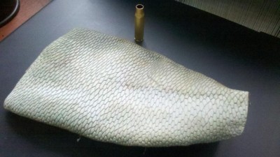 шкура бобрового хвоста