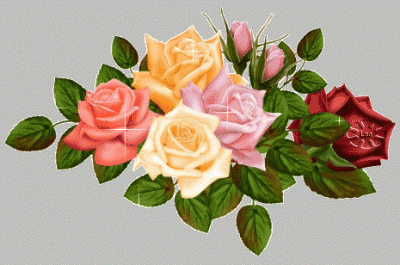 розы.gif