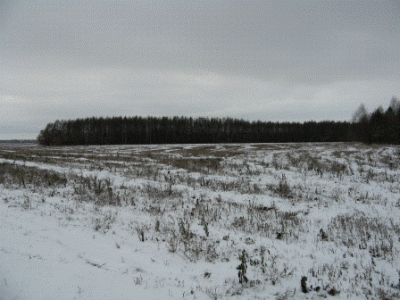 IMG_6370.gif