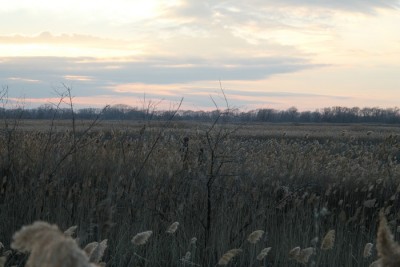 IMG_2705.JPG