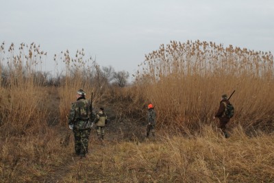 IMG_2784.JPG