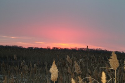 IMG_3008.JPG