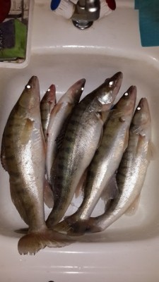 Рыбалка 2 янв.2014.jpg