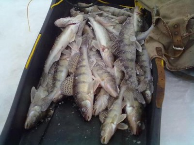 29122013541.jpg