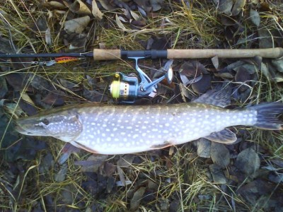 DSC00074.JPG (180.05 КБ) 1175 просмотров DSC00074.JPG