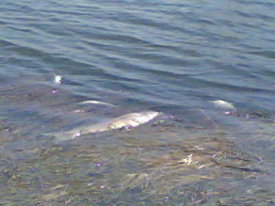 12042008(002).jpg