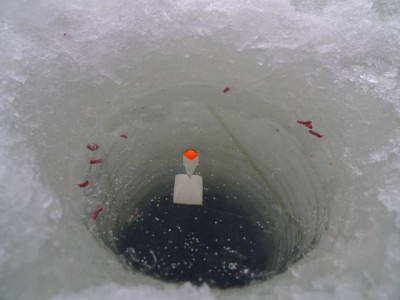 поплавок.JPG