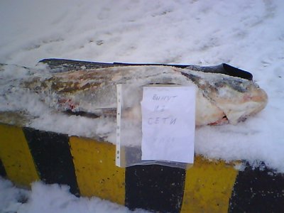 PH_46.JPG