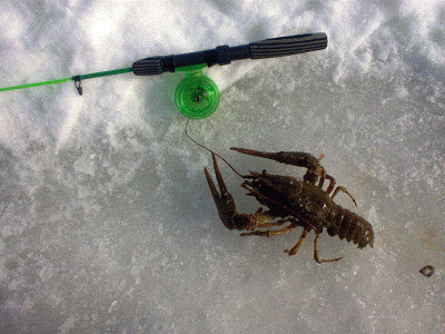 фото11.gif