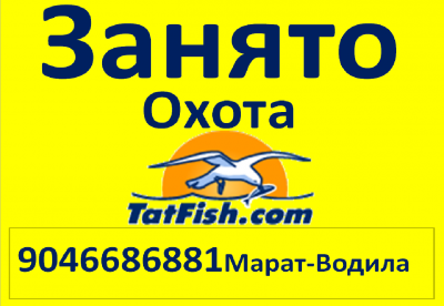 Безымянный.png