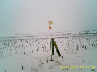 PIC_0015.jpg