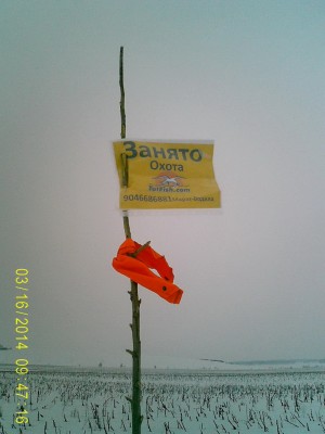PIC_0014.jpg