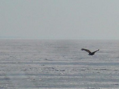 P1510064.JPG