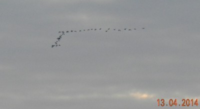 DSCN7412.JPG