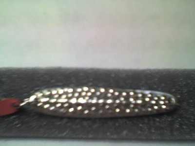07-01-10_0002.jpg