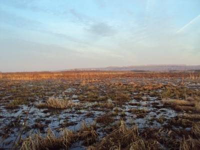 охота 050.JPG
