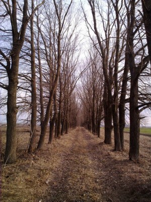 image (11).jpg
