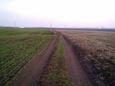 image (12).jpg