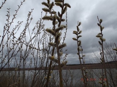 DSCF8393-1.jpg