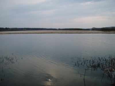 P4291351.JPG