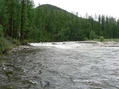 гребенка.JPG