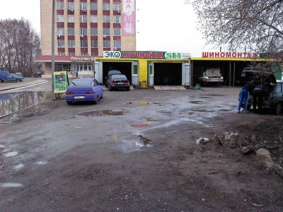 утка1.jpg