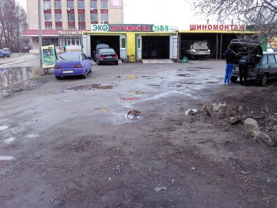 утка.jpg