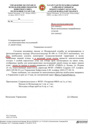 Птичий грип.jpg