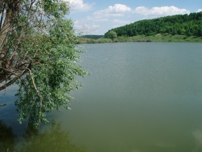 P5250014.JPG