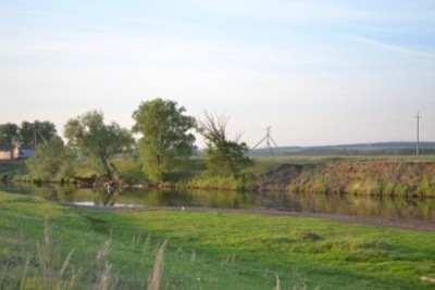 DSC_0931.jpg