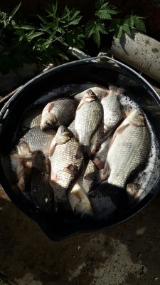 IMG_0678.JPG