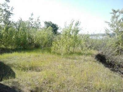 CAM00546.jpg