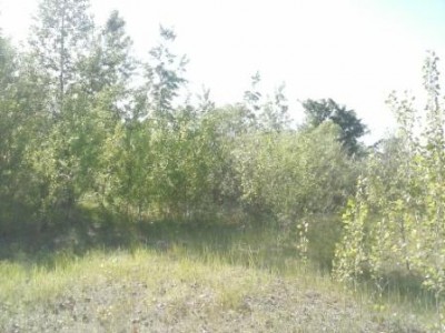 CAM00547.jpg