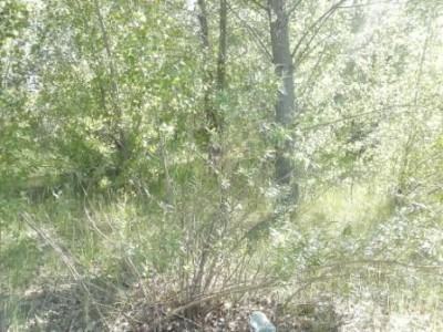 CAM00552.jpg